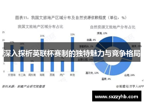 深入探析英联杯赛制的独特魅力与竞争格局