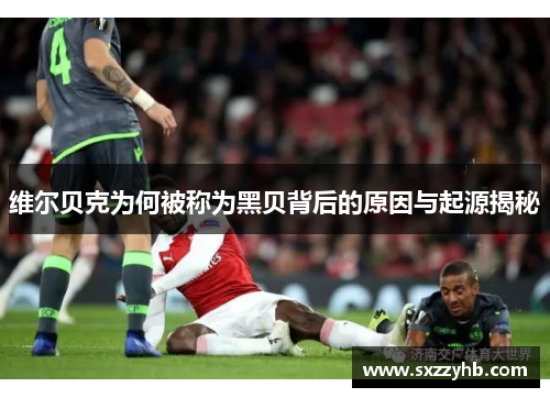 维尔贝克为何被称为黑贝背后的原因与起源揭秘